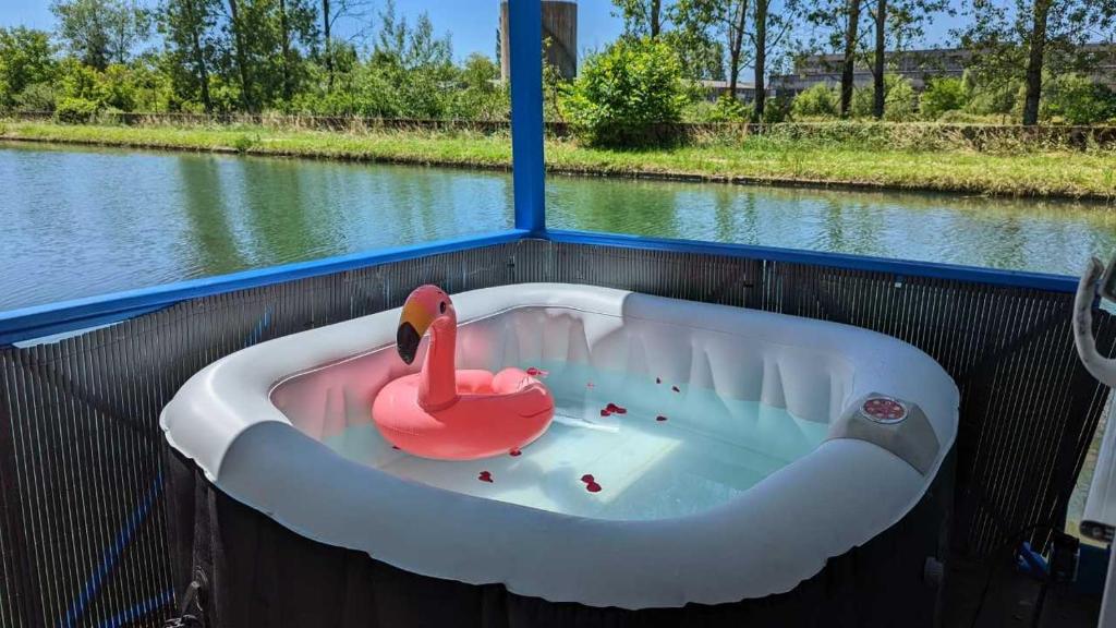 Bateau-hôtel Cottage flottant jacuzzi privé en option gamme supérieure Chemin du canal 21170 Saint-Jean-de-Losne