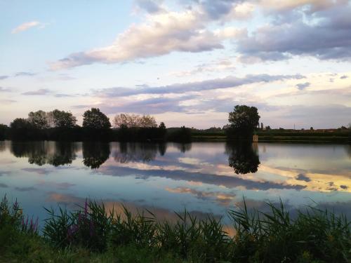 Cottage flottant Saint Jean de Losne option jacuzzi