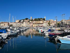 Entire residence on a motor yacht Old harbor of Cannes