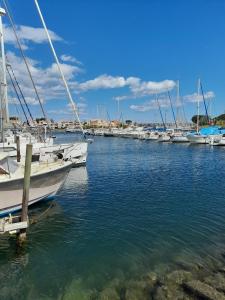 EVASION UNIQUE SUR NOTRE VOILIER AU CAP D AGDE