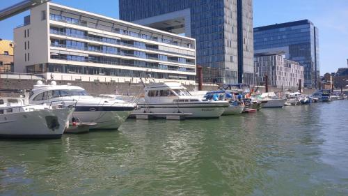 Fantasie Boot EINHORN