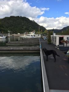 Bateau-hôtel Hausboot Bounty Am Hafen 14 56329 Sankt Goar Rhénanie-Palatinat