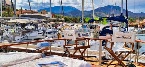 La Ornella - Location bateau à quai de Thierry Bourgait