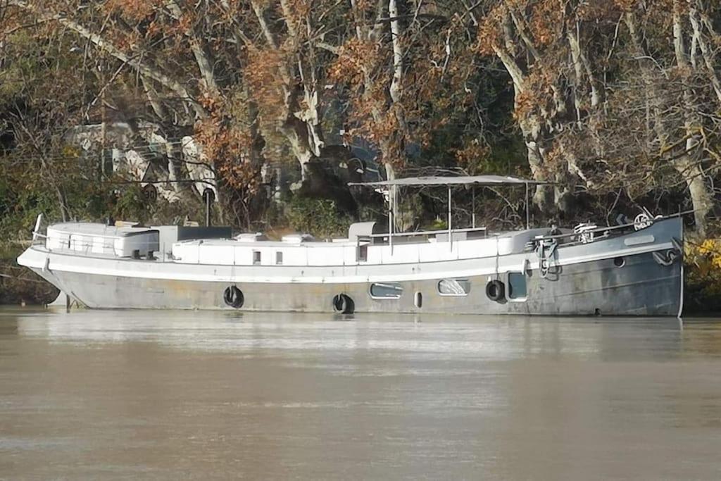 Location Péniche Avignon Chemin de l'Ile Piot, 84000 Avignon