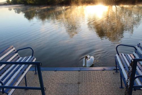 loft flottant sur la seille