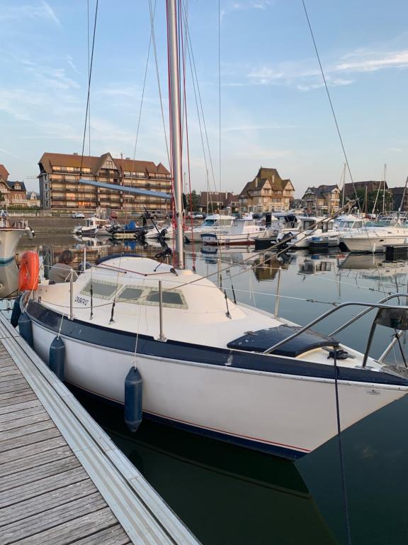 Bateau-hôtel Madi au fil de l'eau à Deauville Rue Olliffe Prolongée 14800 Deauville