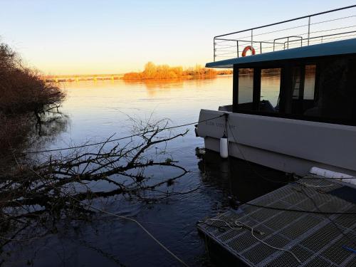 Ollem Barco Casa