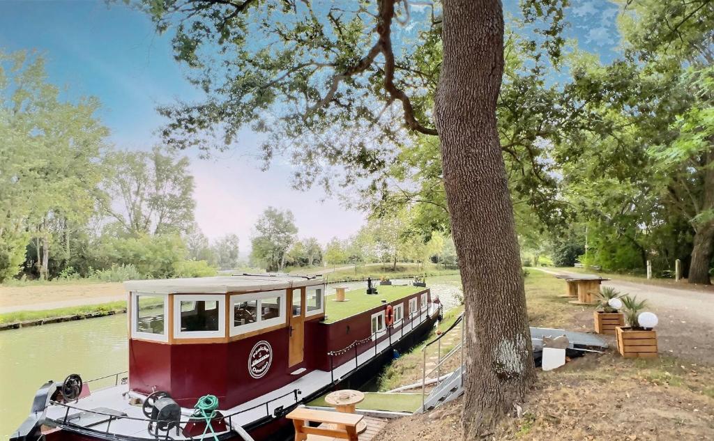 Bateau-hôtel Péniche Dondon - Gîte cocooning sur Canal du midi Le radel (derrière le camping) 31290 Avignonet-de-Lauragais