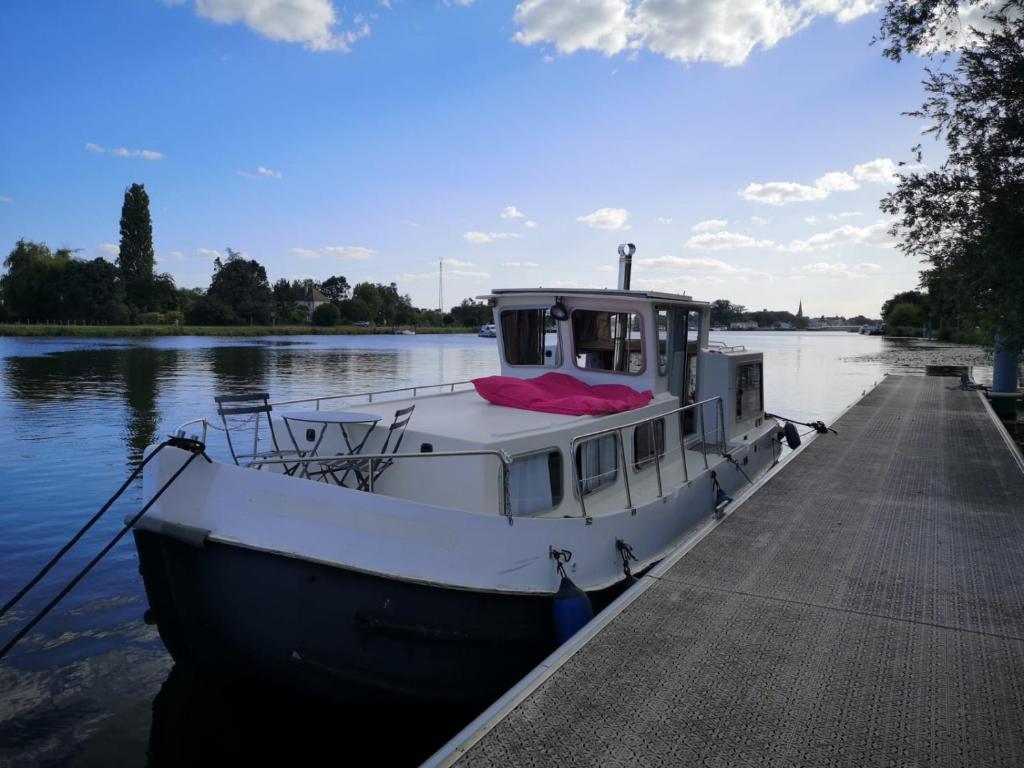 Bateau-hôtel Penichette habitable 5 pers terrasse vue sur l'eau ST JEAN DE LOSNE Promenade du Port Saint-Jean 21170 Saint-Jean-de-Losne