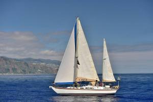 Relax at sea on a Yacht