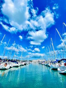 Stay in a Boat - Lisboa