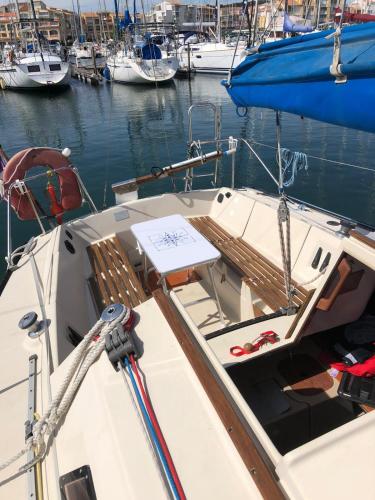 Un dodo sur les flots