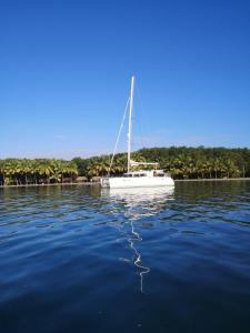 Bateau-hôtel Veladrago Port du Brusc 83140 Six-Fours-les-Plages Provence-Alpes-Côte d\'Azur