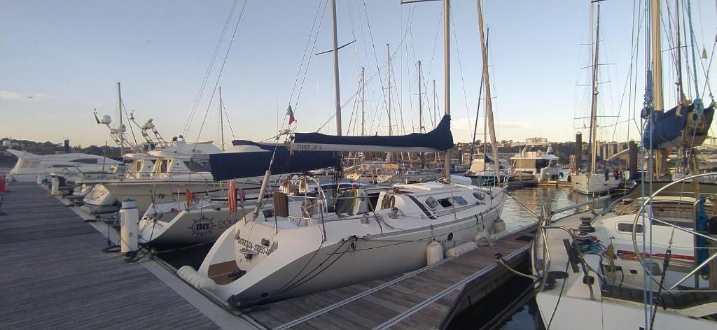 Yatch Barracuda Douro Marina Boat Sleep Experience Rua da Praia, 4400-554 Vila Nova de Gaia