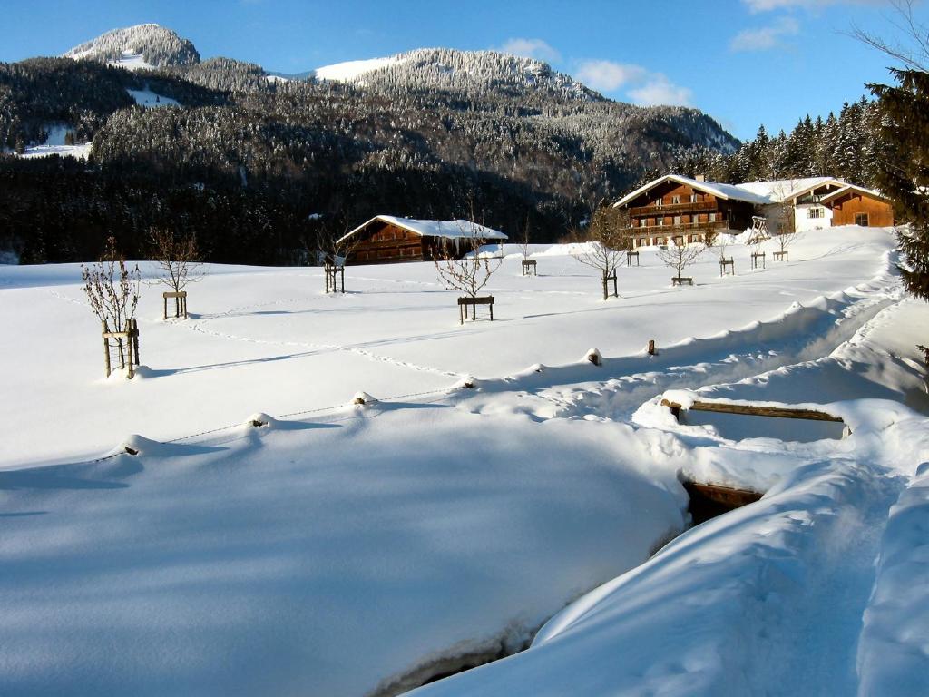 Séjour à la ferme Bauernhof Ertlhof Aschach 2, 83229 Sachrang