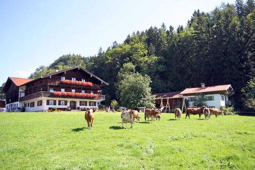 Bauernhof Ertlhof Sachrang allemagne