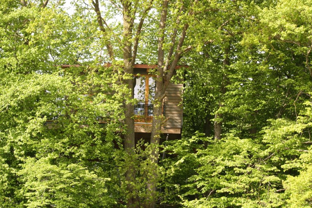 Maison de vacances Baumhaus auf dem Kellerberg Schläulestraße, 86850 Fischach