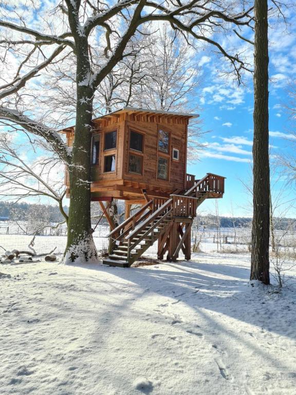 Tente de luxe Baumhaushotel Uckermark - Waldgeflüster 1 Gut Gollin, 17268 Templin