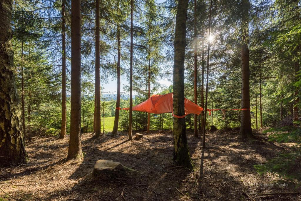 Tente de luxe Baumzelt am Waldesrand Am Grubfeld 27, 94209 Regen