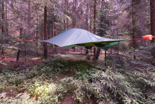 Baumzelt im Wald Regen allemagne
