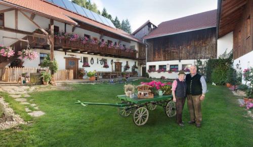 Bayerwald-Ferienhof Schmid Eppenschlag allemagne