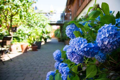 B&B / Chambre d'hôtes Beate's Bed & Breakfast Steinweg 44 Münzenberg