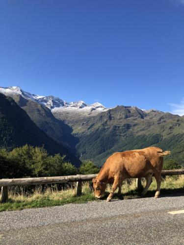 Beau studio plus, refait à neuf, tout confort Luchon france