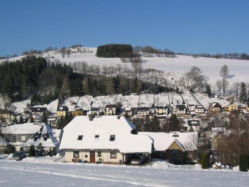 Appartement Beautiful Apartment in P hla Saxony near Ski Area  Pöhla