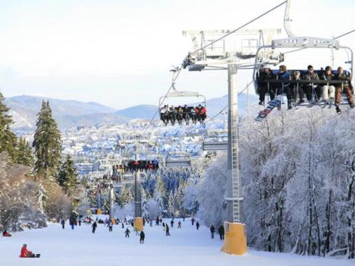 Beautiful apartment with large balcony in Neuastenberg on the ski slope Winterberg allemagne