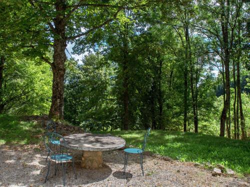 Villa Beautiful stone farmhouse in mountain forest setting  Saint-Bonnet-le-Froid