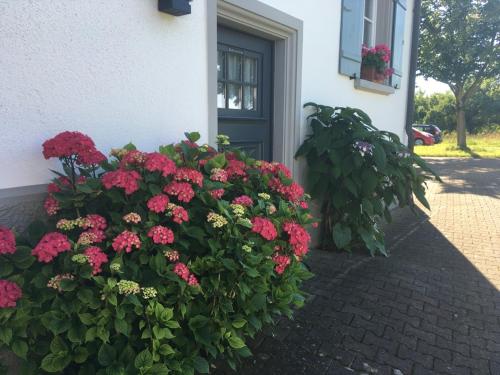 B&B / Chambre d'hôtes Bed & Breakfast mit Charme- Aux2platanes- Außergewöhnlich schön am Bodensee Heiligenbergerstr. 110 Salem