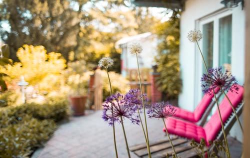 B&B / Chambre d'hôtes Bed & Breakfast Unter den Linden Unter den Linden 25 Hungen