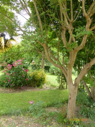 B&B / Chambre d'hôtes Bedbreakfastbikespyrenees 2 Place Du Cazal Loubières