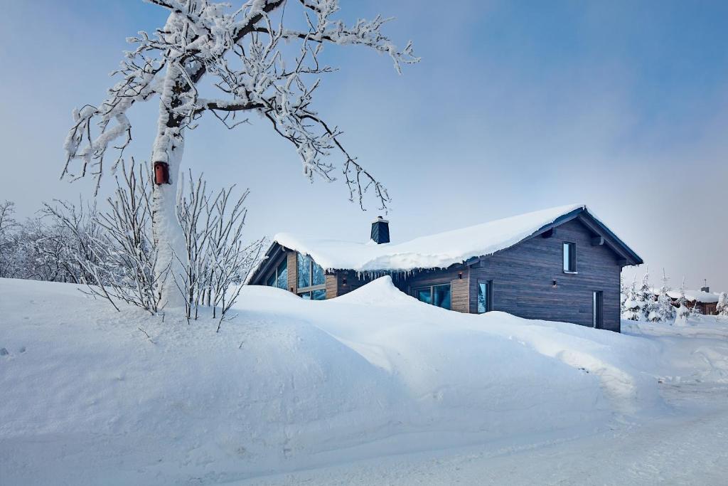 Maison de vacances Beerenhaus 25 Neugeorgenfeld, 01773 Kurort Altenberg