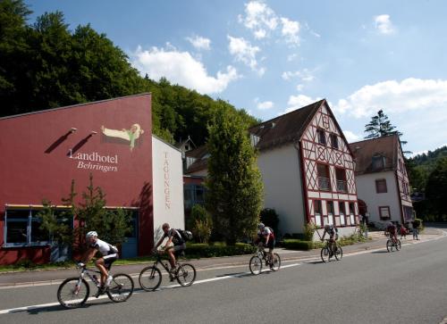 Behringers Freizeit - und Tagungshotel Gößweinstein allemagne