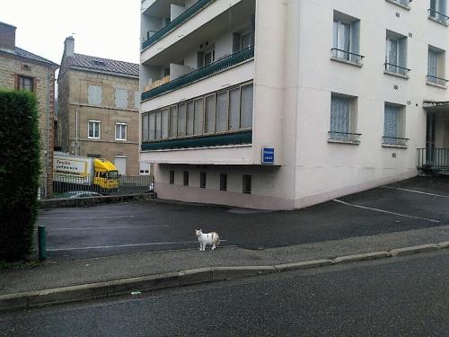 Bel appartement a vivre Saint-Étienne france