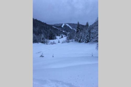 Bel appartement neuf équipé au pied des pistes La Bresse france