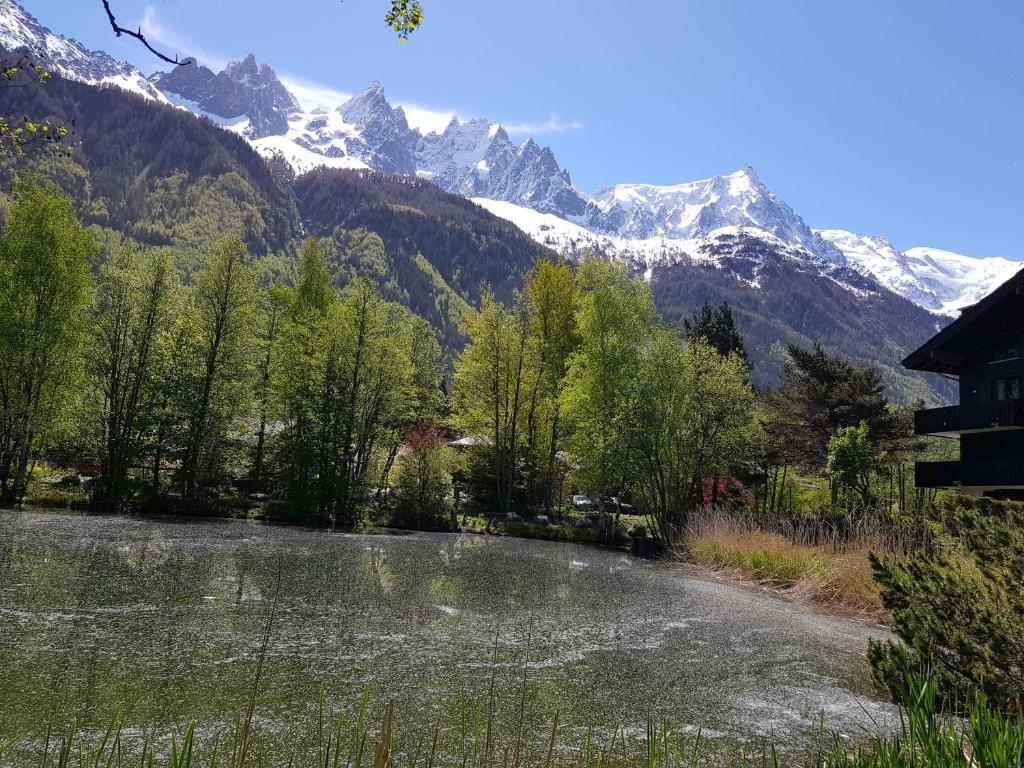 Appartement bel appartement , son jardin et le lac Route des Rosières 38, Clos de Chalets de Champraz, 74400 Chamonix-Mont-Blanc