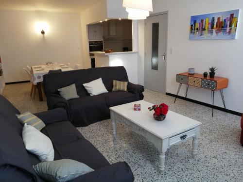 BEL APPARTEMENT SPACIEUX CENTRE VILLE UZES T3 Uzès france