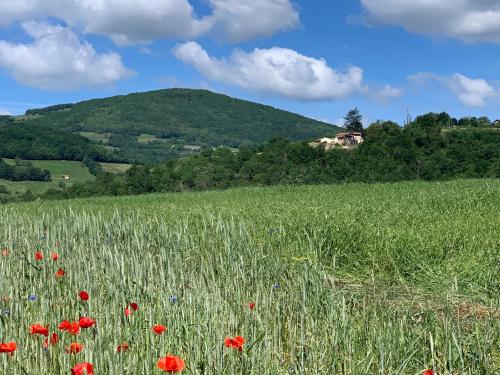 Belle Vue Savigny france