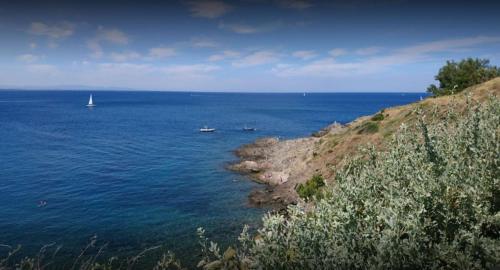 Appartement Belleza del mar Route de Collioure Port-Vendres