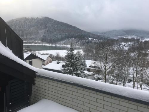 Berg- und Seeblick Winterberg allemagne