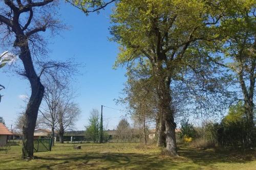 Bergerie landaise Sindères france