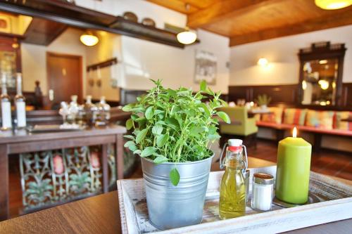Bergers-Landgasthof Enge-Sande allemagne