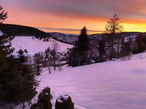 Berghaus Hintermatt, Todtnauberg Todtnauberg allemagne