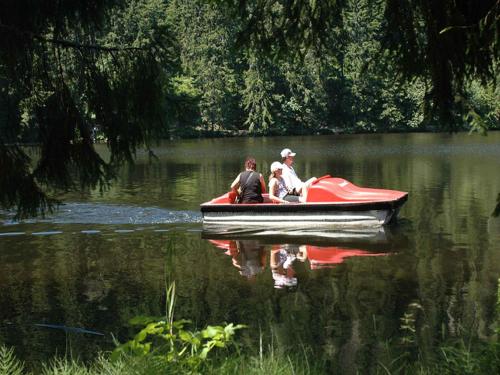 Berghotel Mummelsee Seebach allemagne