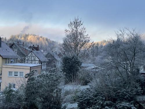 Bergstadthütte Harz Bad Grund allemagne