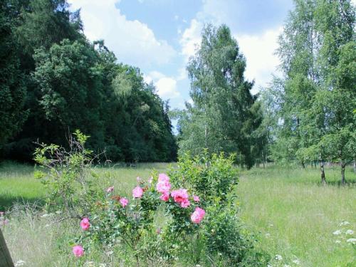 Maison de vacances Bett im Bahnhof Güterschuppen Blankenburger Str 45 Ehemaliger Bahnhof Eckertal Bad Harzburg