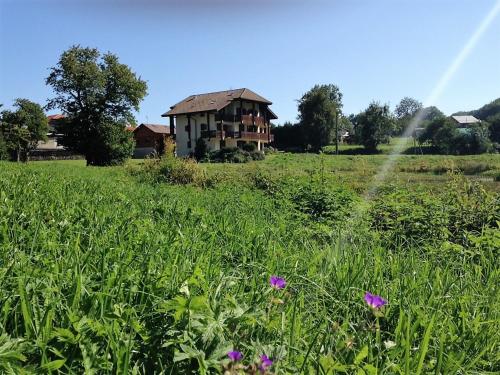 Between lake en ski resort Thollon-les-Mémises france