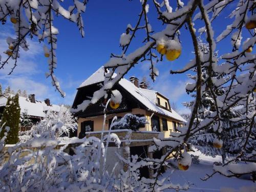 Biber Lodge Feldberg allemagne